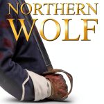 Northern Wolf Series Civil War Historical Fiction Kindle-0