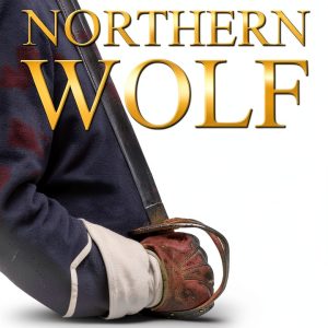 Northern Wolf Series Civil War Historical Fiction Kindle-0