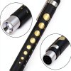 Nurse Penlight AAProTools LED Pen Light with Pupil Gauge Black Steel-1
